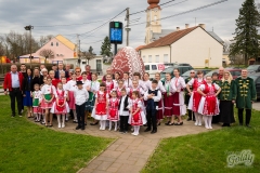 pisanica2503_114